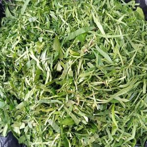 Afang Leaves – Fresh Nigerian Vegetable for Afang Soup
