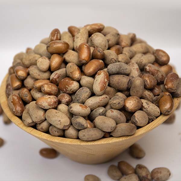 African Walnut – Fresh Local Snack Rich in Nutrients