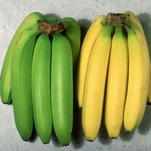 Banana – Fresh, Sweet, and Naturally Nutritious