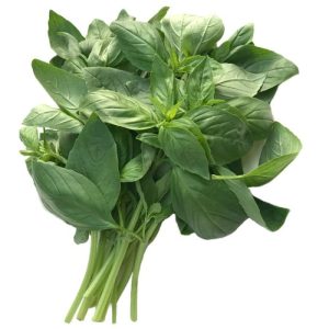Basil Leaves – Per Bunch