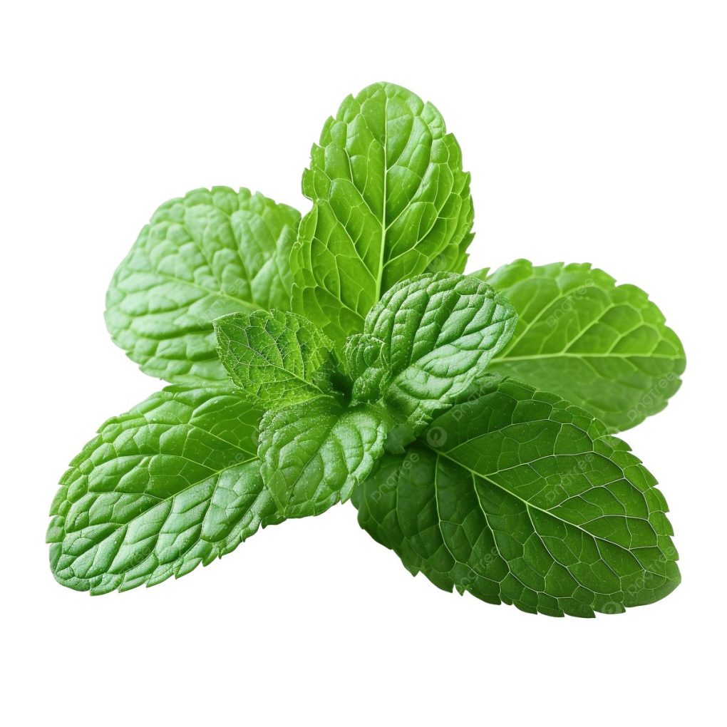 Mint leaf – per bunch