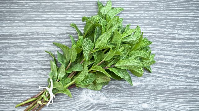 Scent leaf – per bunch
