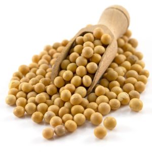 Soya beans (per bucket)
