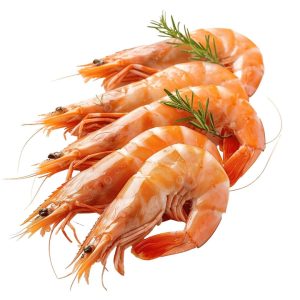 Crayfish